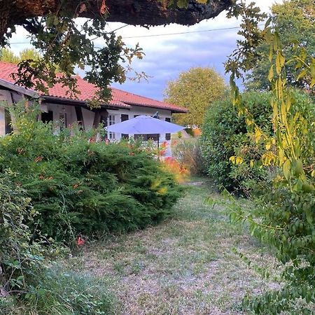Cool Landes Villa Sainte-Eulalie-en-Born Ngoại thất bức ảnh