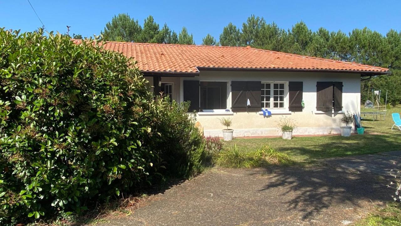 Cool Landes Villa Sainte-Eulalie-en-Born Ngoại thất bức ảnh